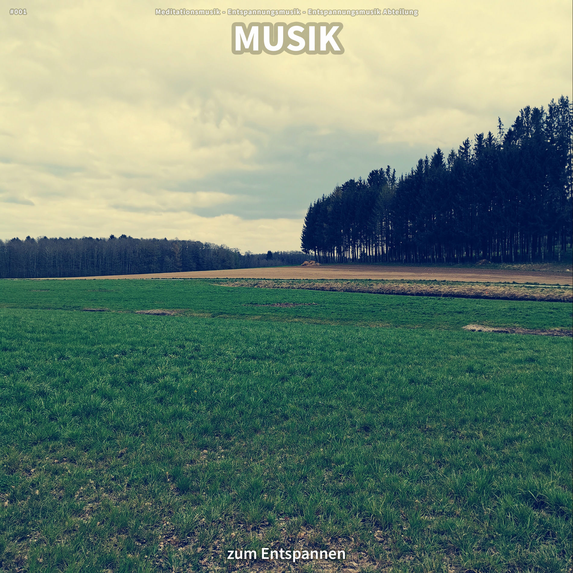 Album cover of #001 Musik zum Entspannen