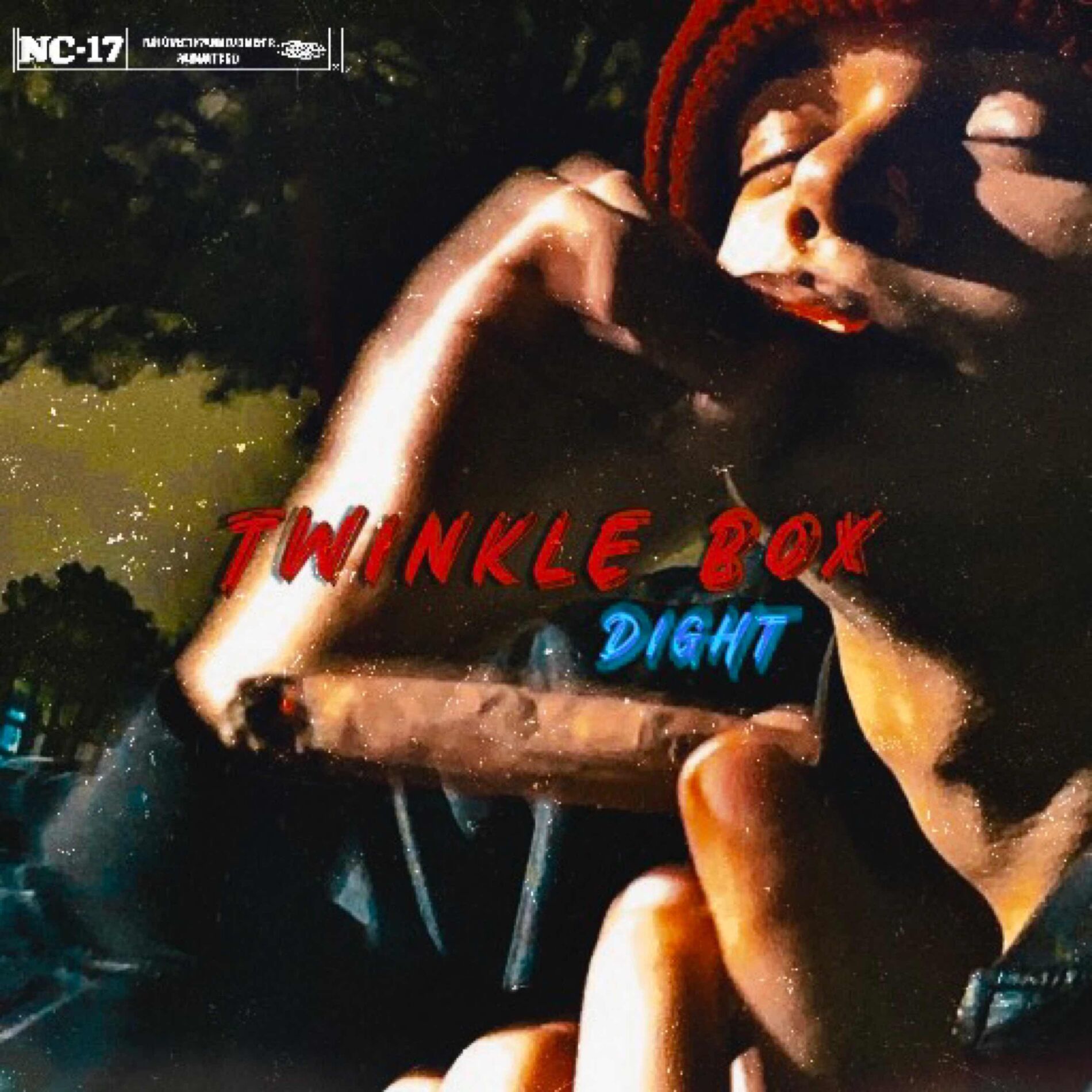 Album cover of Twinkle Box