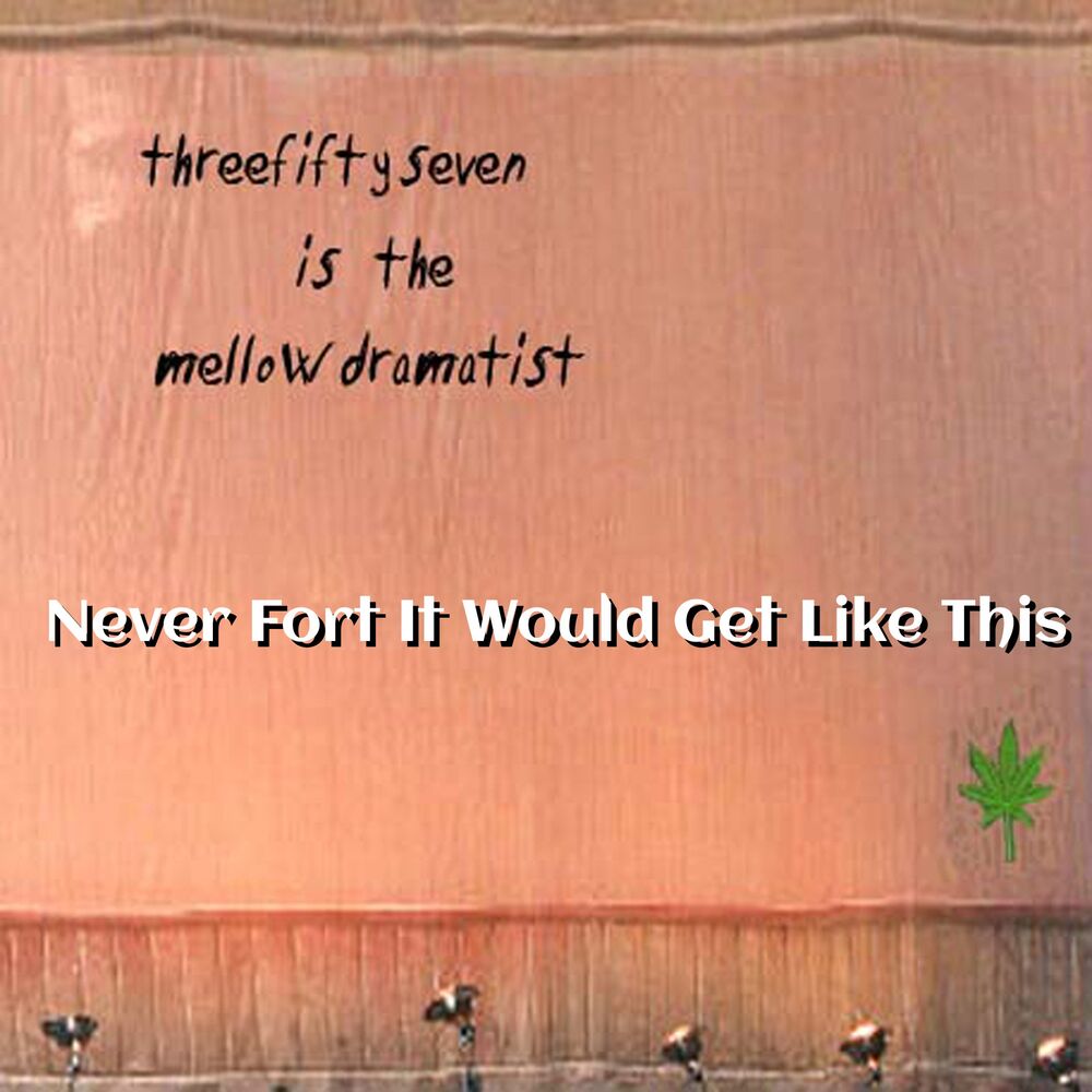 Picture of Never Fort It Would Get Like This
