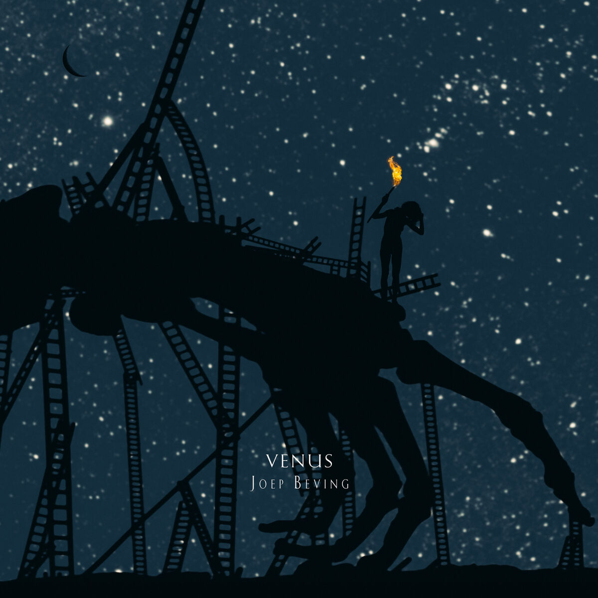 Album cover of Venus