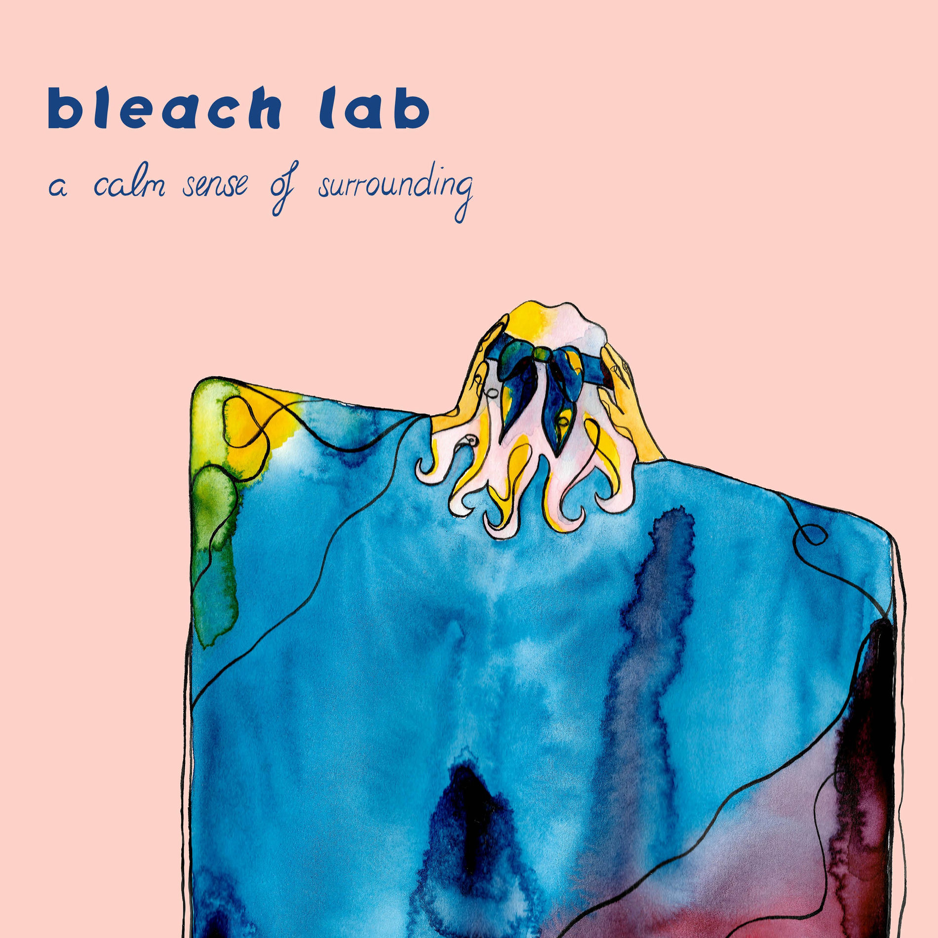 Album cover of A Calm Sense of Surrounding