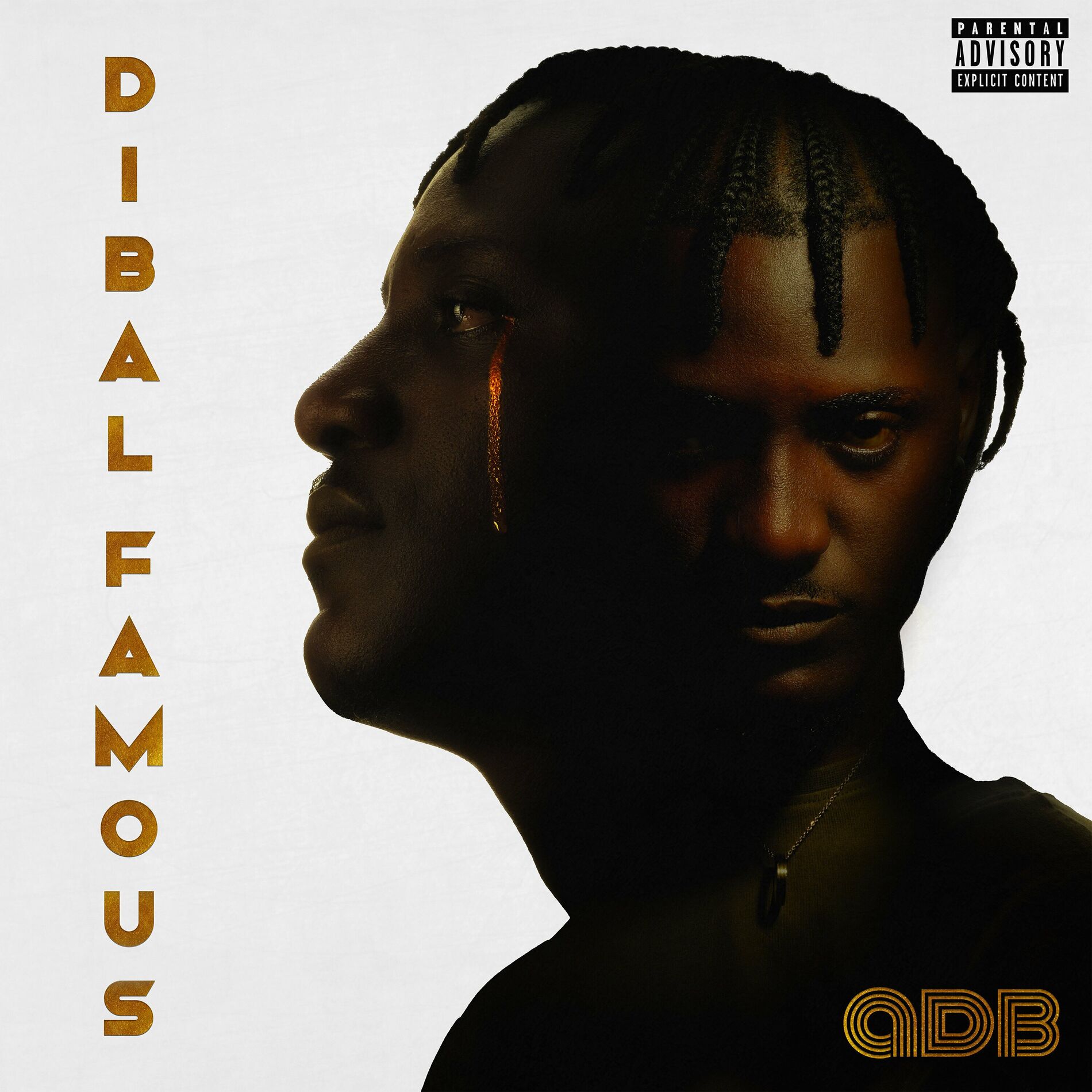 Album cover of DIBAL FAMOUS