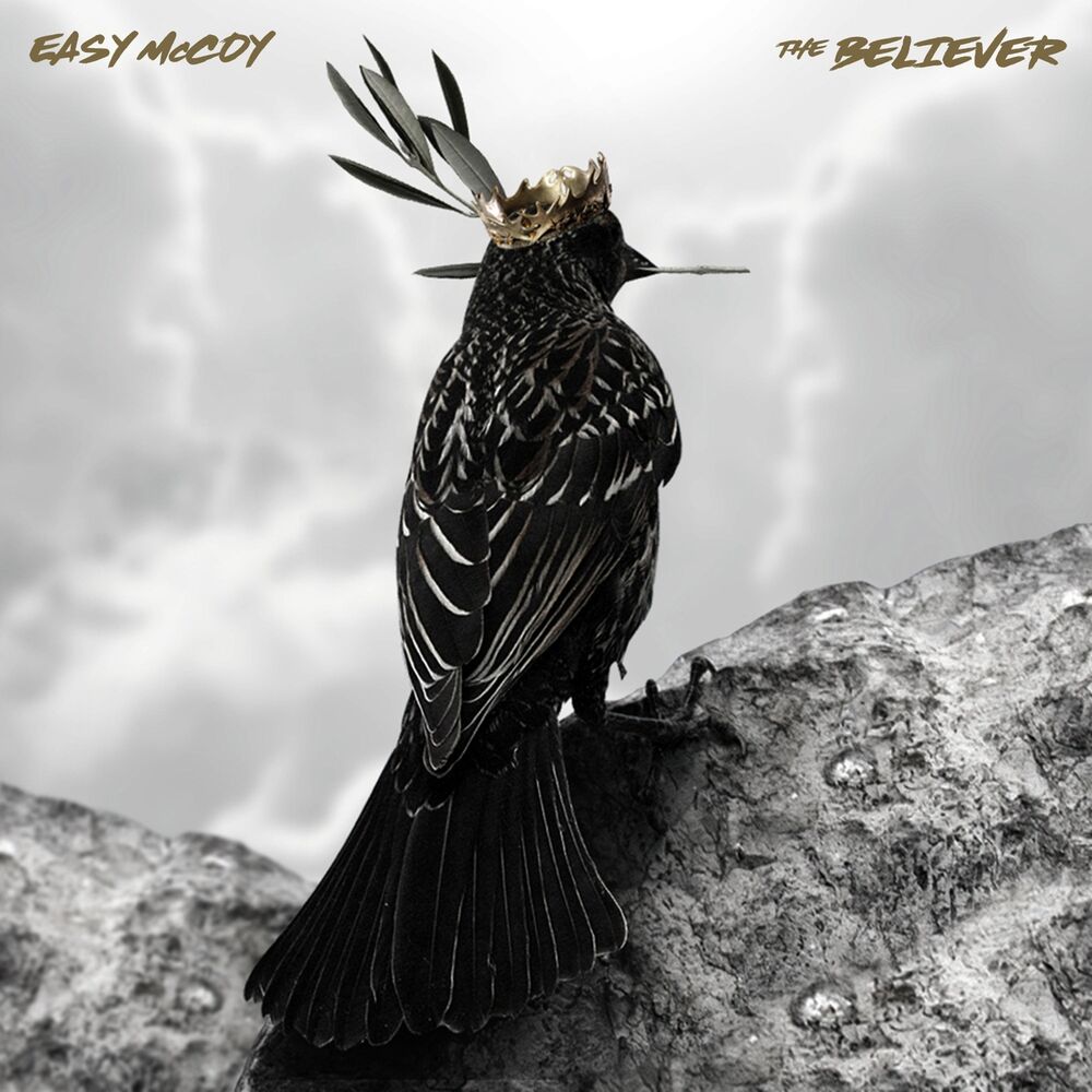 Picture of The Believer