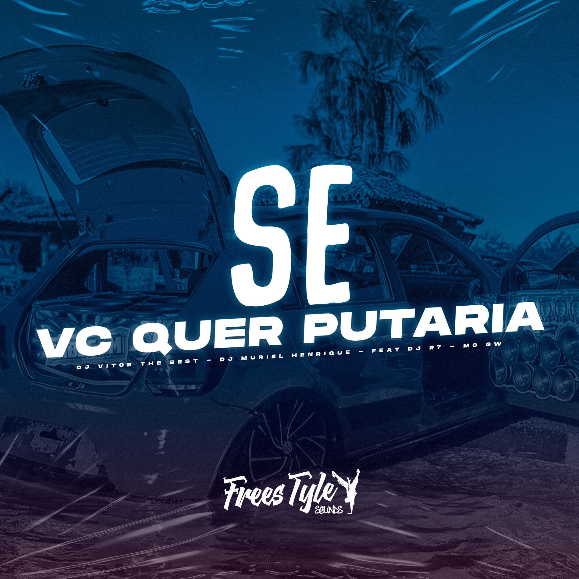 Album cover of Se Vc Quer Putaria (Eletrofunk)