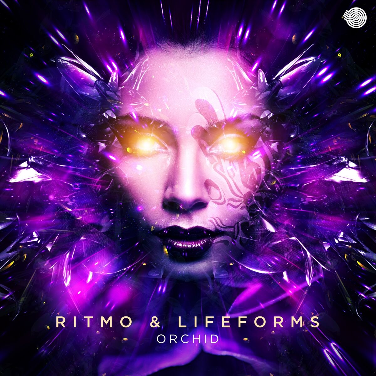 Album cover of Orchid