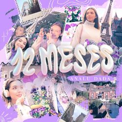 Cover of 12 Meses