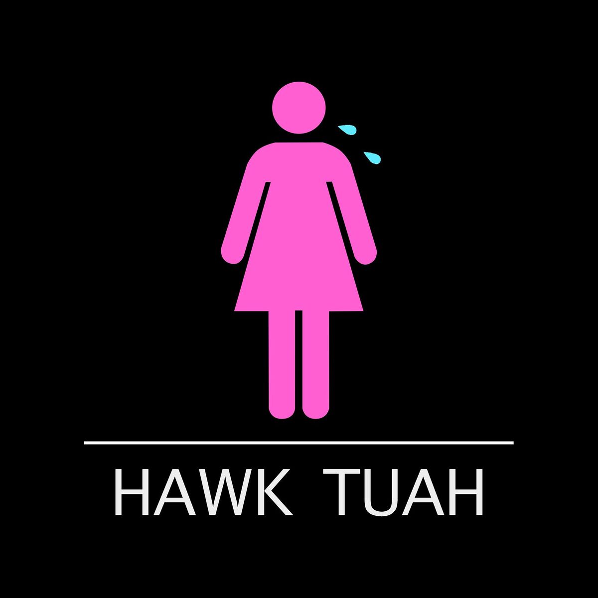 Album cover of Hawk Tuah