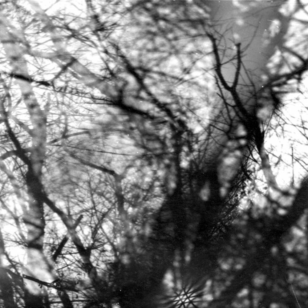 Picture of Way Their Crept