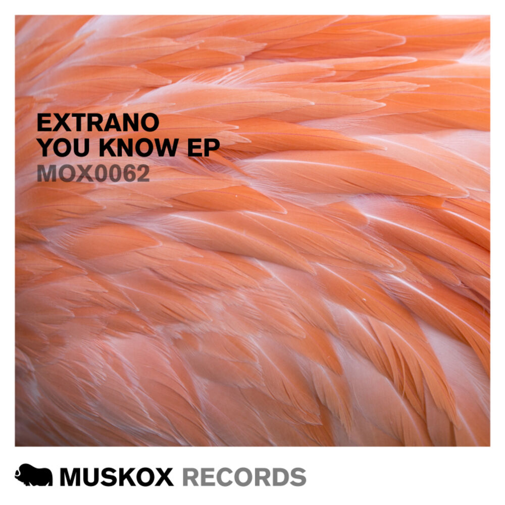 Picture of You Know EP