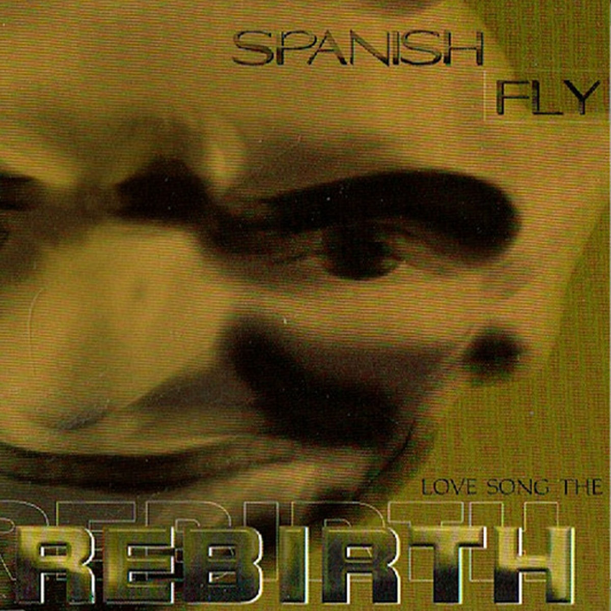 Album cover of Love Song (The Rebirth)