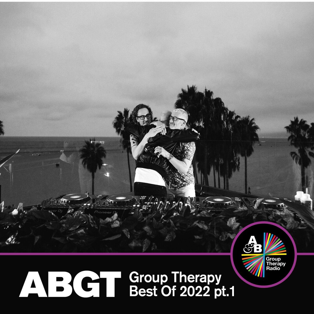 Album cover of Survive (ABGTX2022)