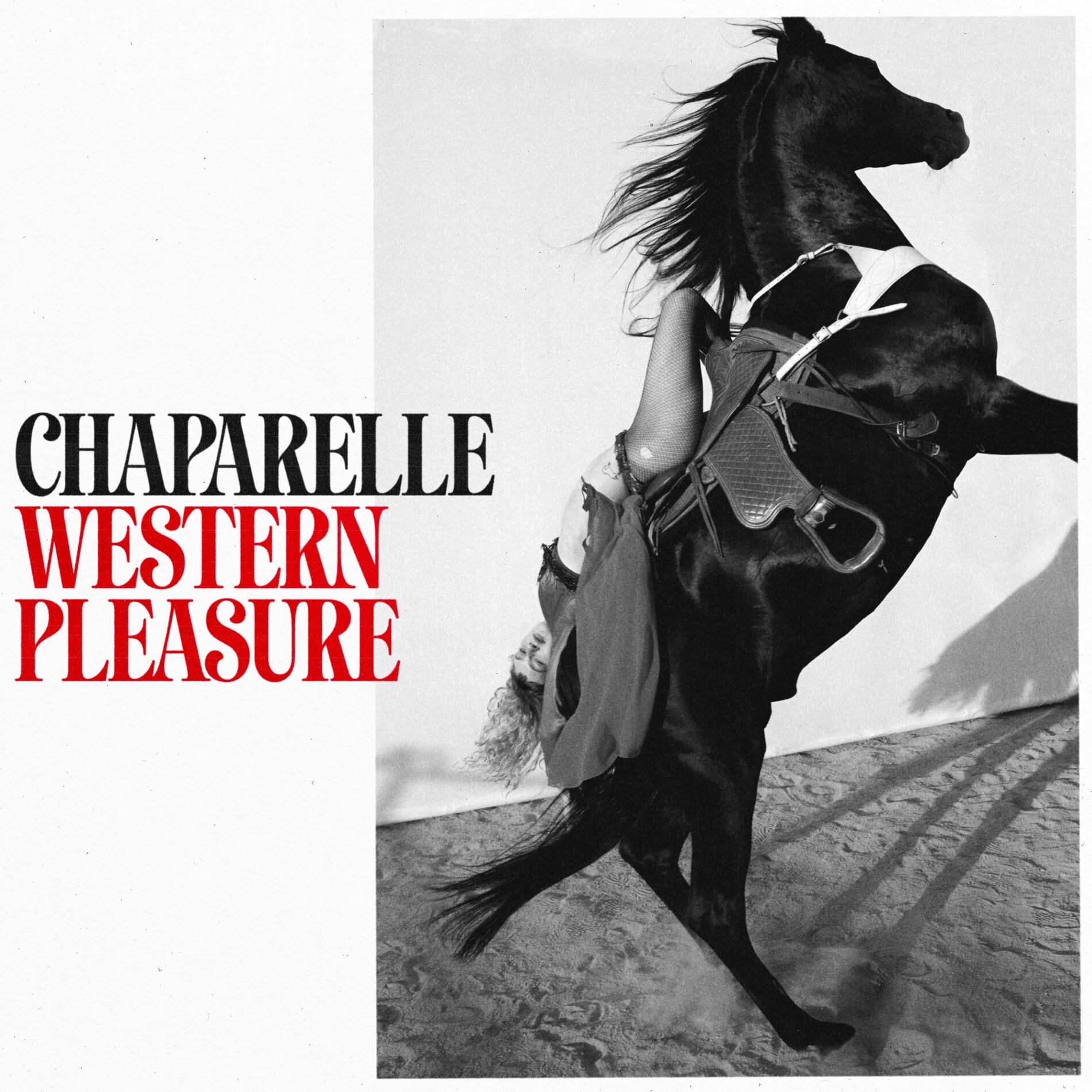 Album cover of Western Pleasure