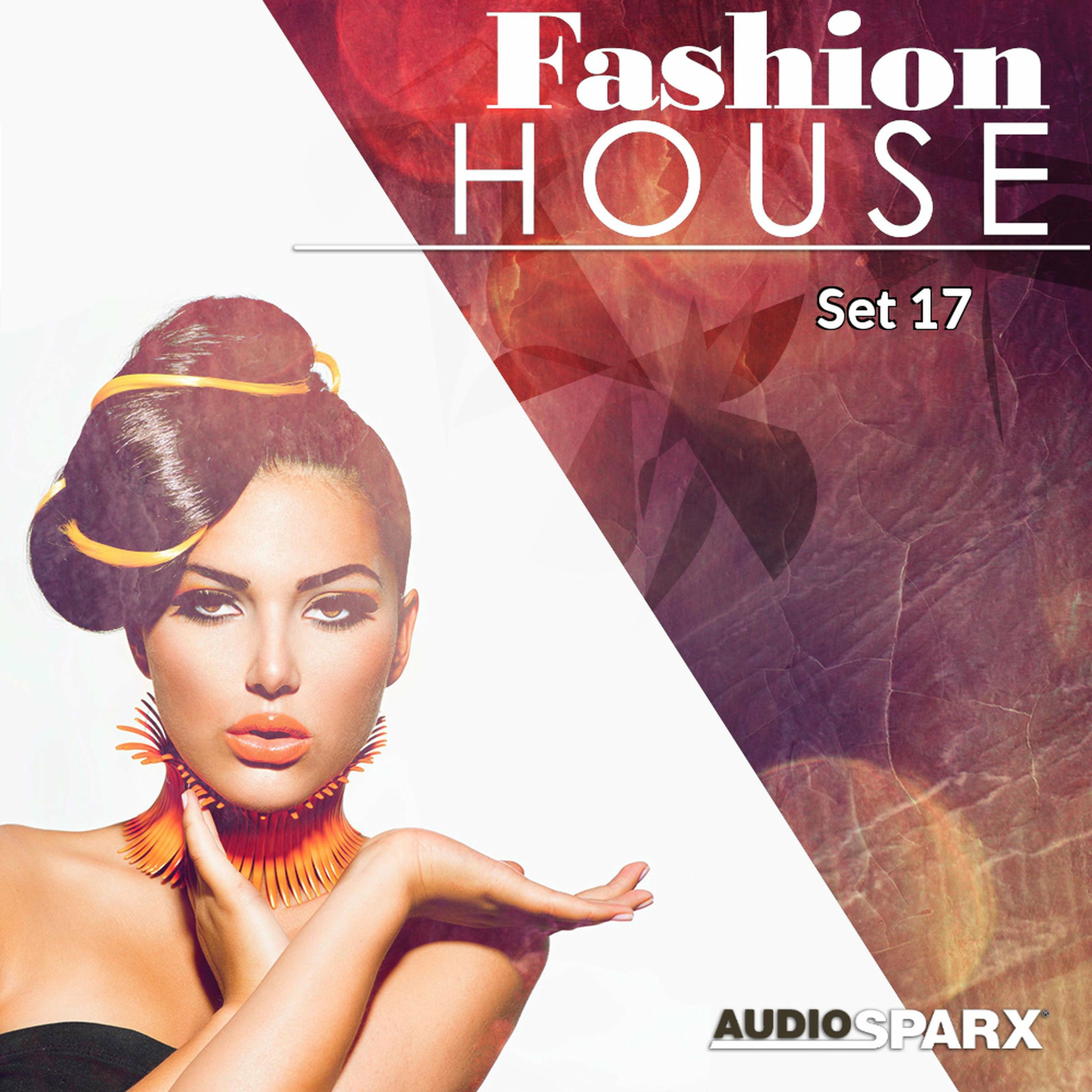 Album cover of Fashion House, Set 17