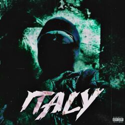 Cover of Italy