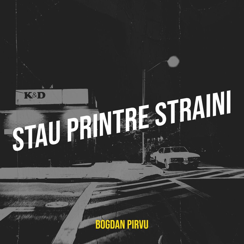 Picture of Stau Printre Straini