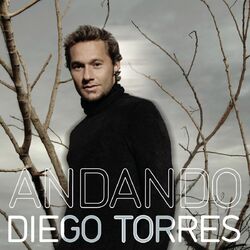 Cover of Andando