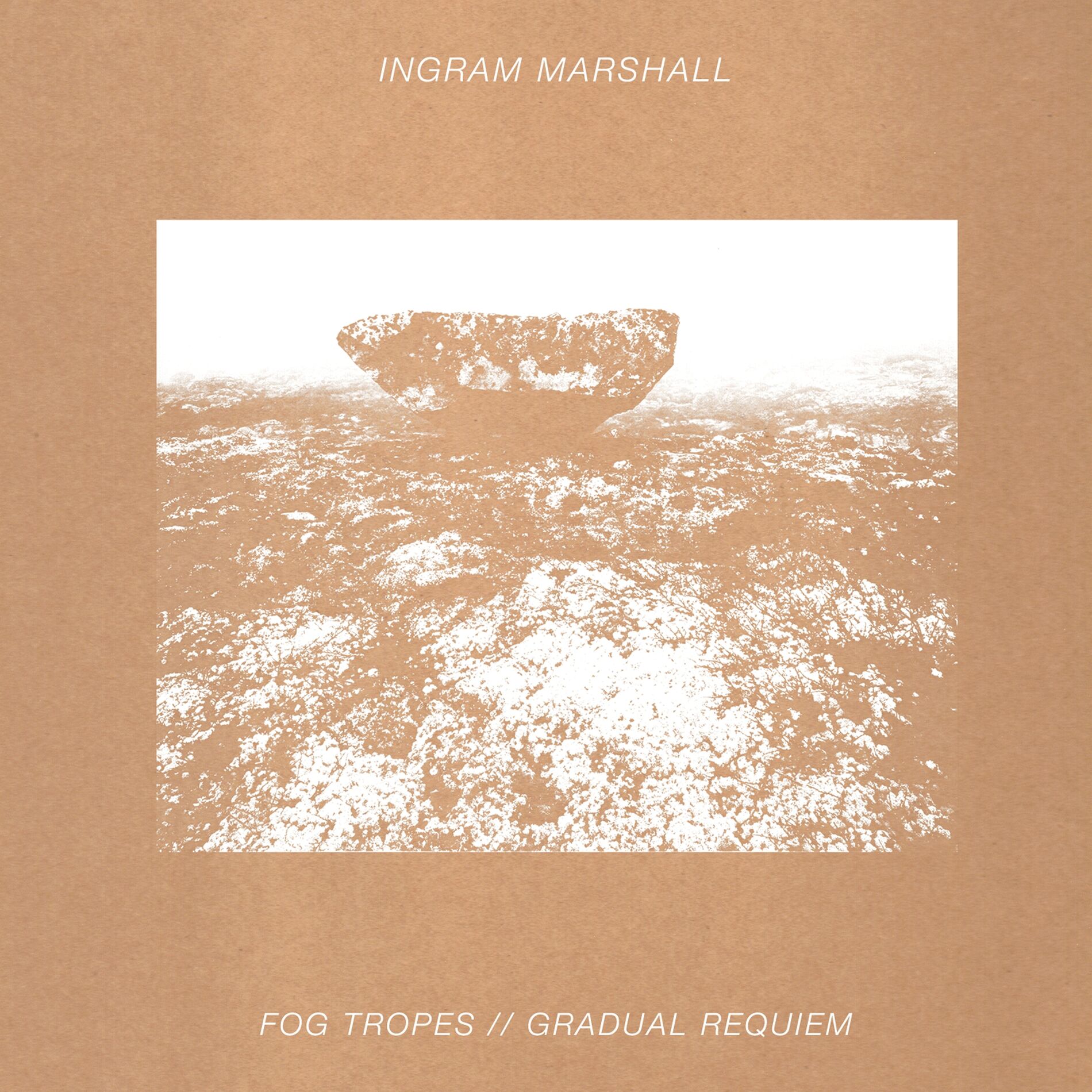 Album cover of Fog Tropes / Gradual Requiem (2014 Edition)