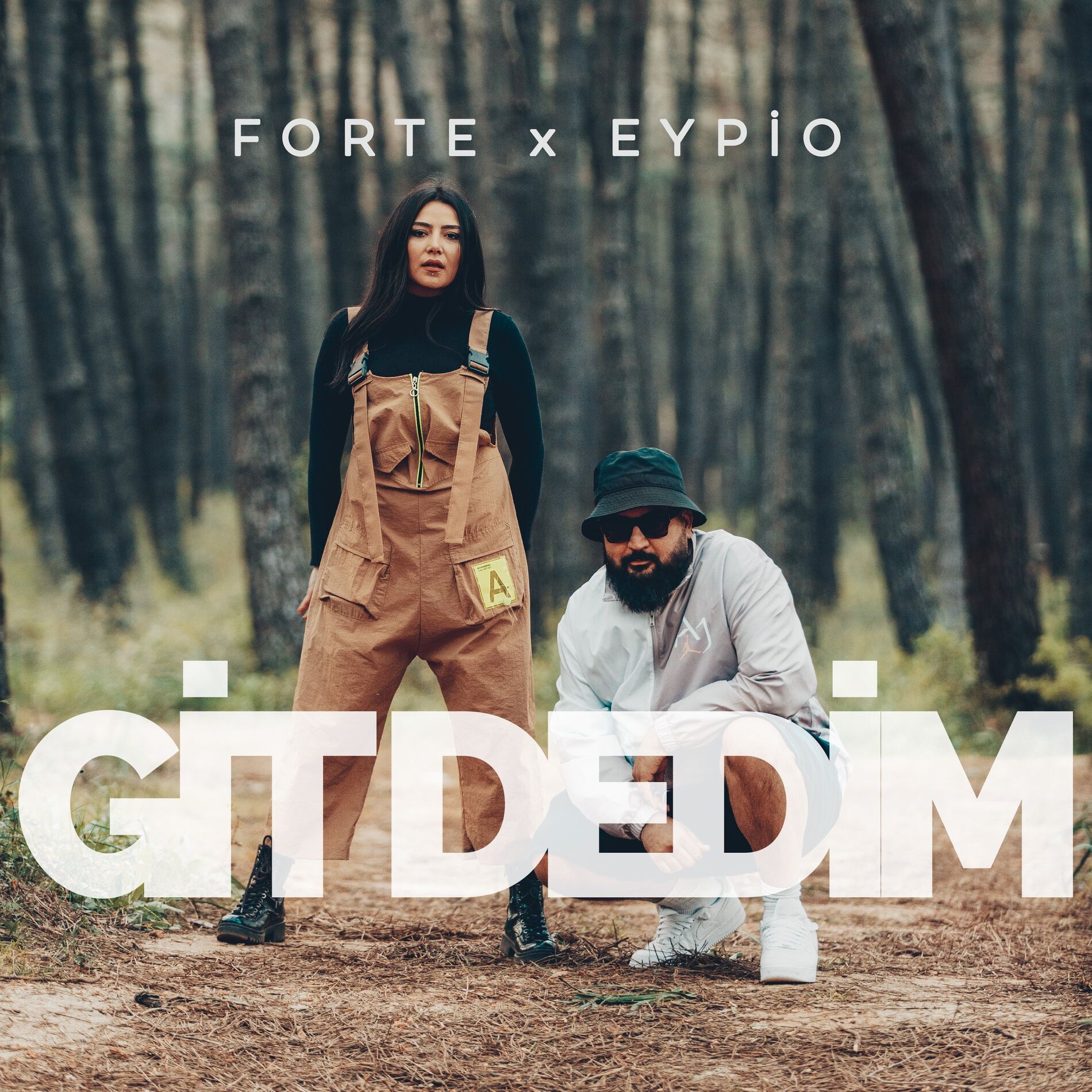 Album cover of Git Dedim