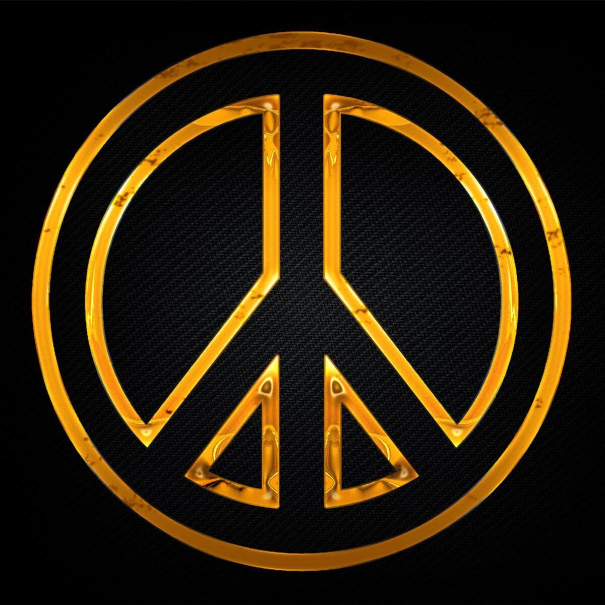 Album cover of The Missing Peace