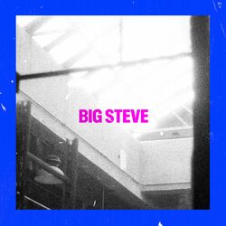 Cover of Big Steve