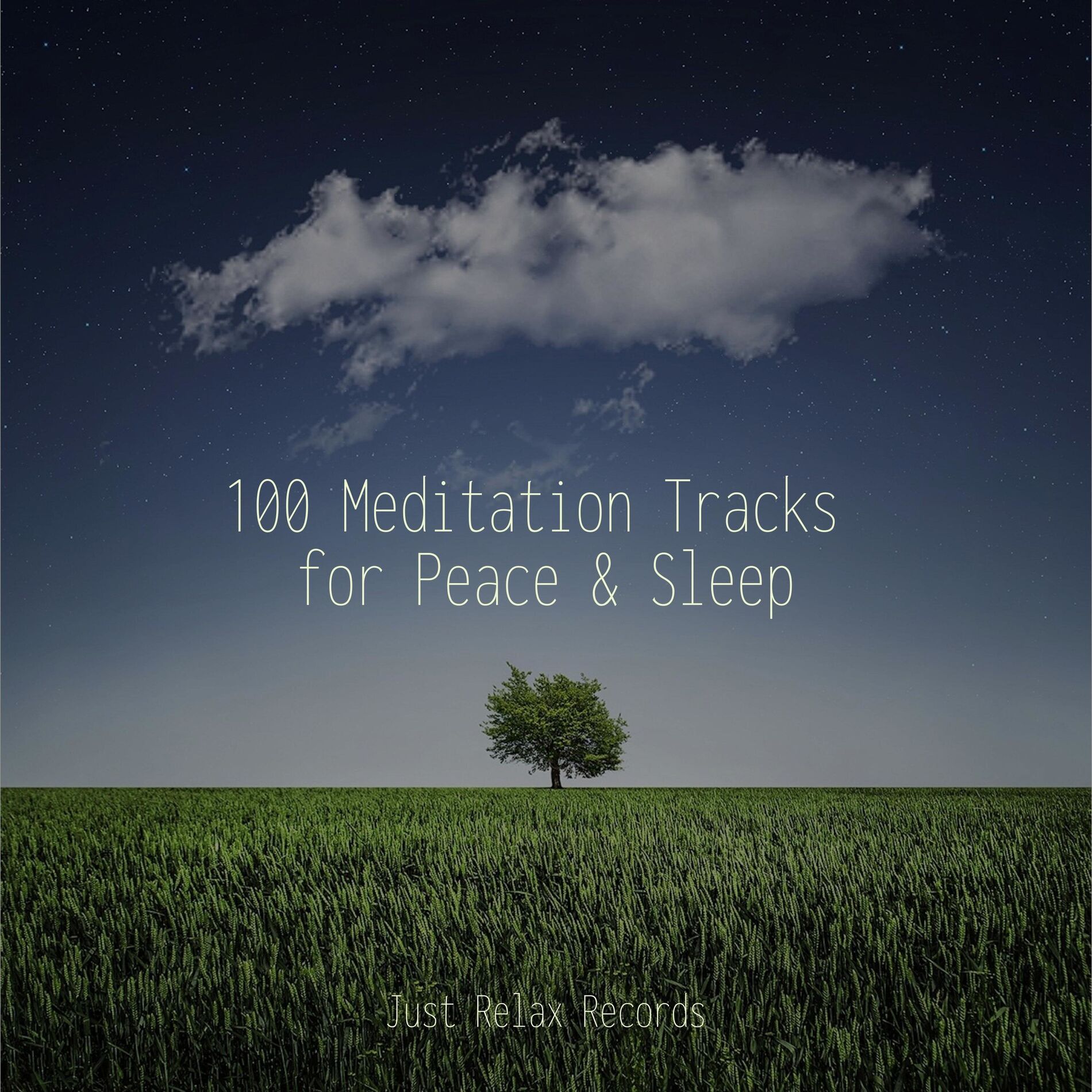 Album cover of 100 Meditation Tracks for Peace & Sleep