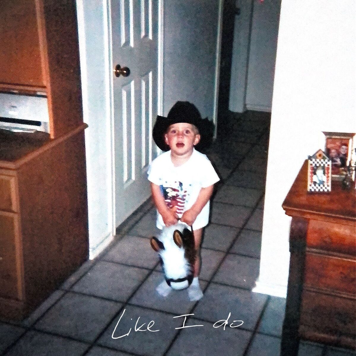 Album cover of Like I Do