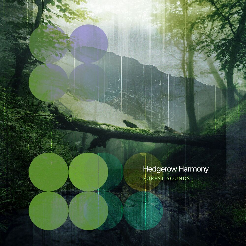Picture of Hedgerow Harmony
