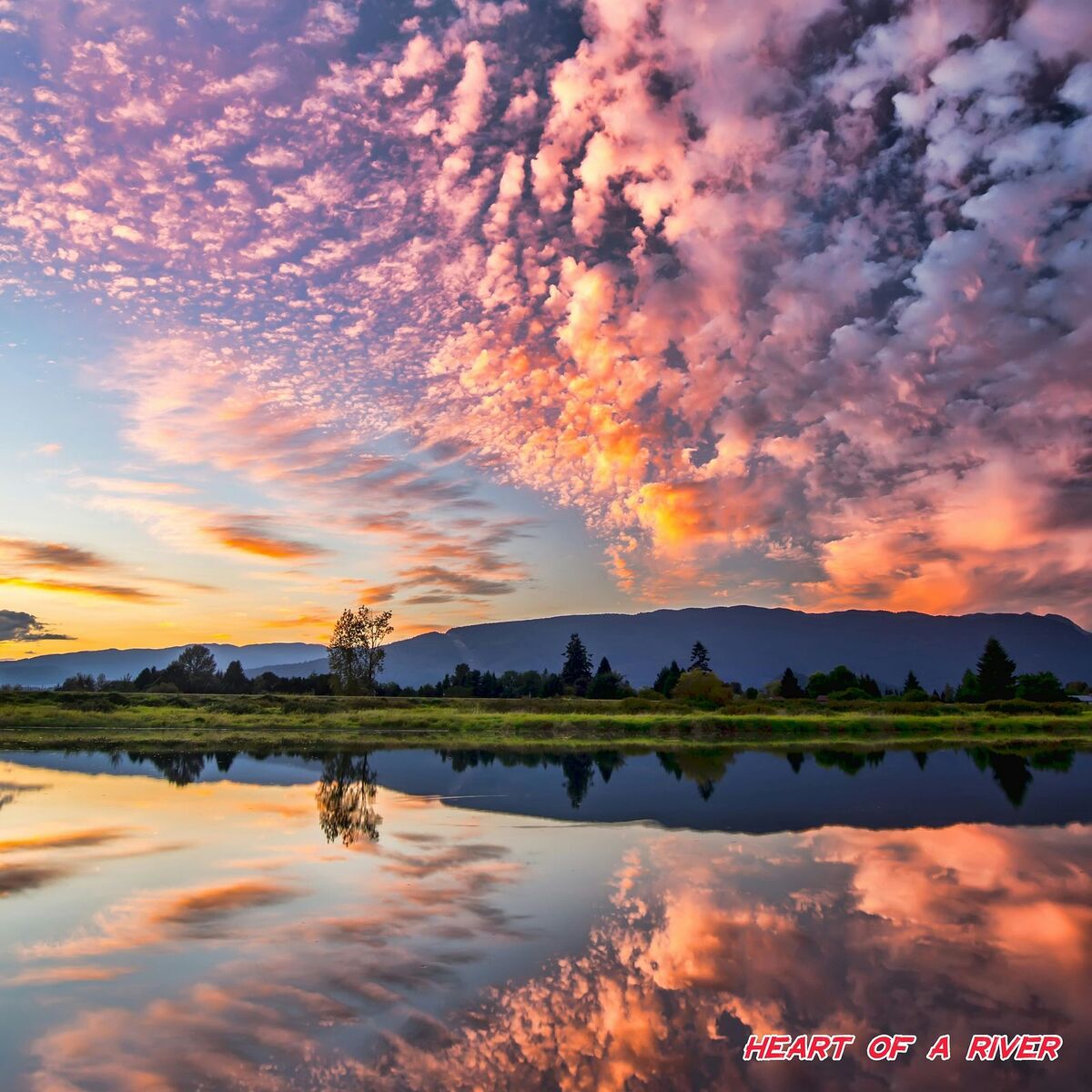 Album cover of Heart of a River