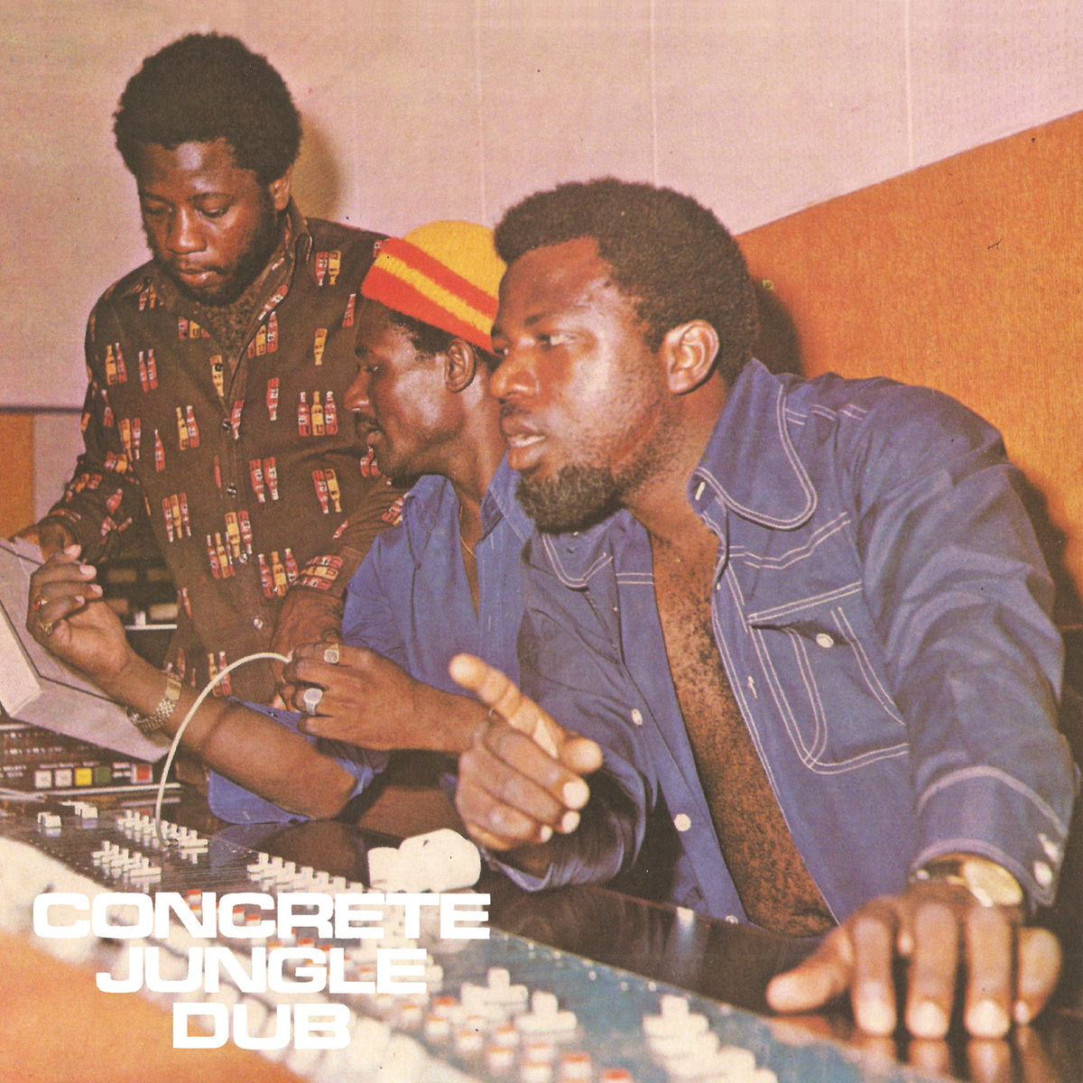 Album cover of Concrete Jungle Dub