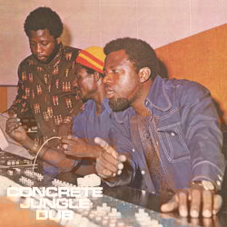 Cover of Concrete Jungle Dub