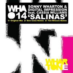 Cover of Salinas