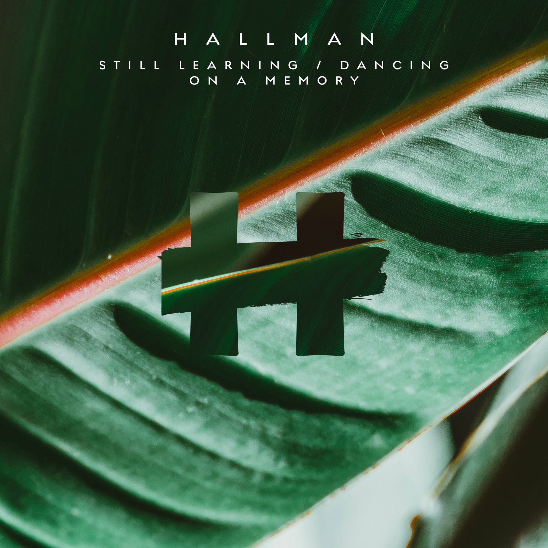 Album cover of Still Learning / Dancing on a Memory