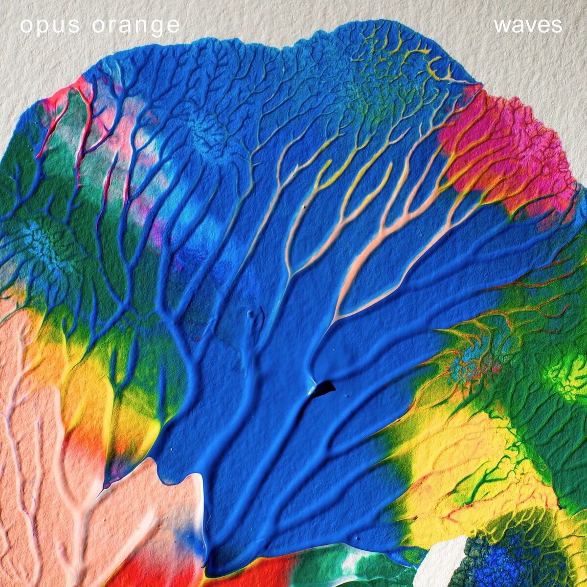 Album cover of Changing Shape