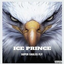 Cover of Super Eagles Fly