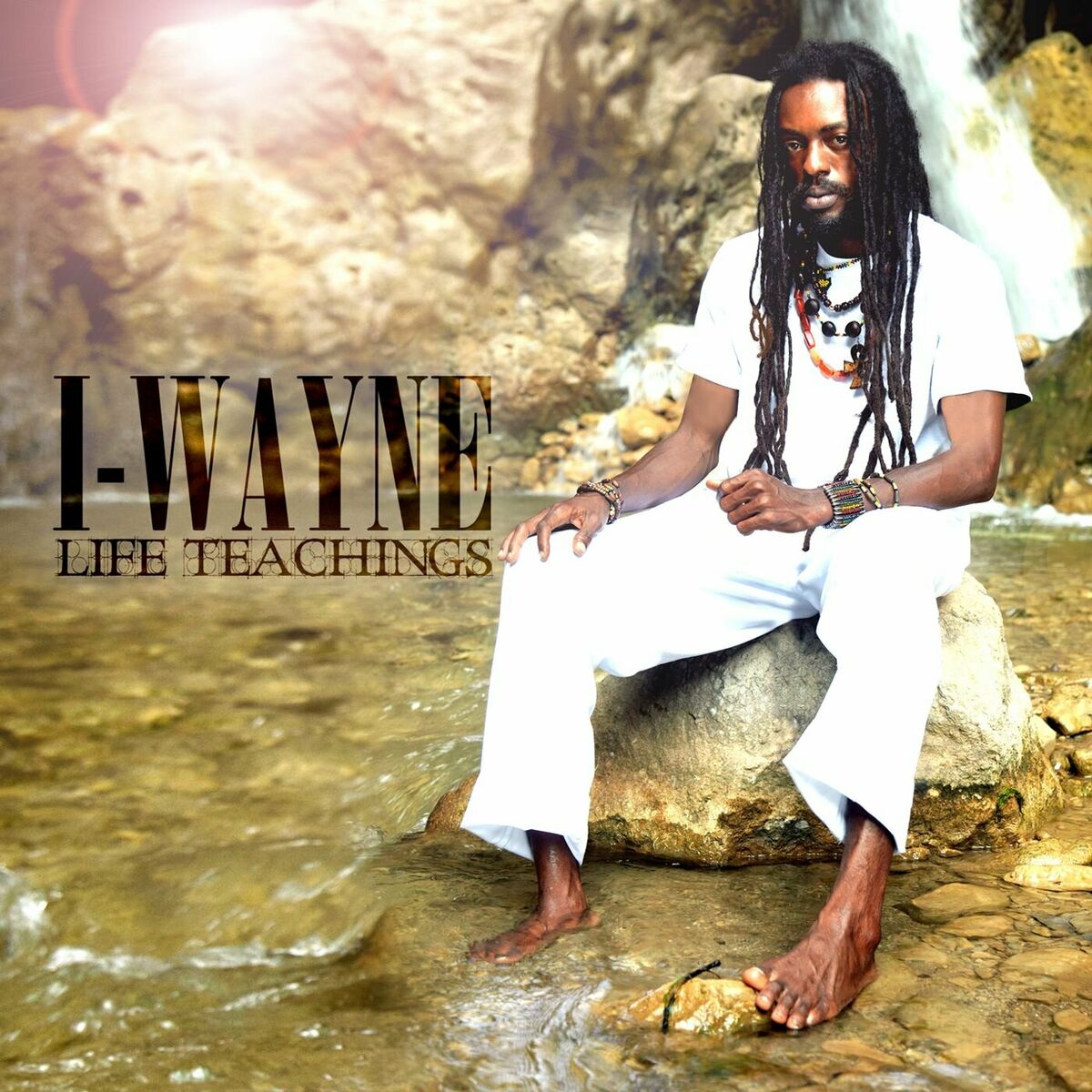 Album cover of Life Teachings