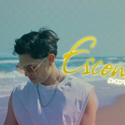 Cover of Escondidos