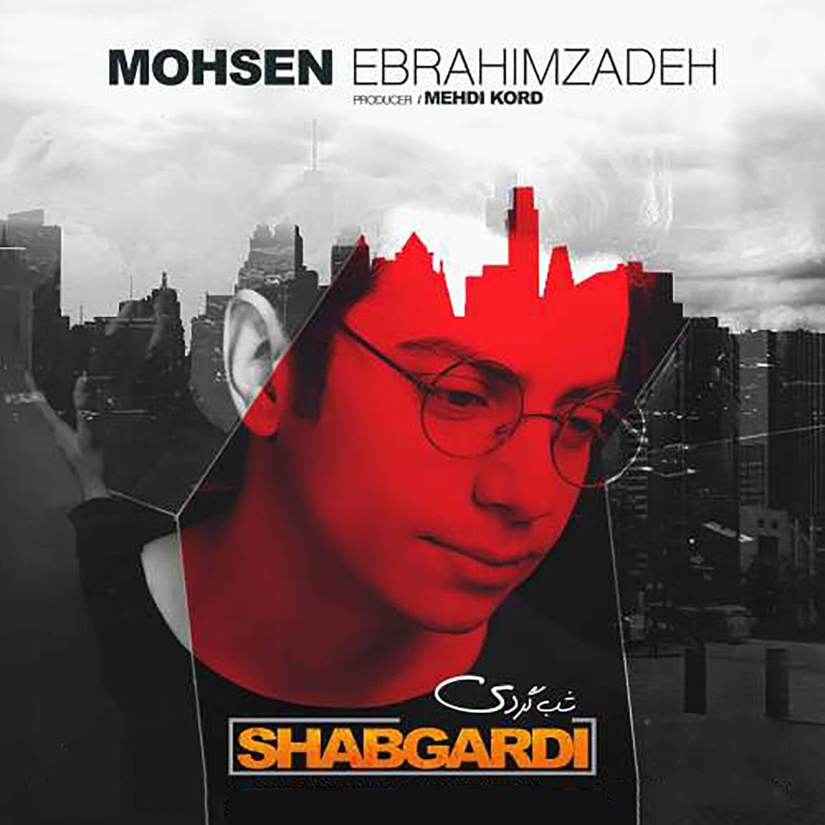 Album cover of Shabgardi