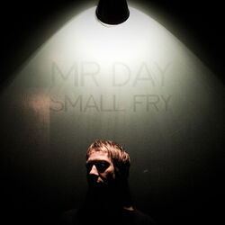 Cover of Small Fry