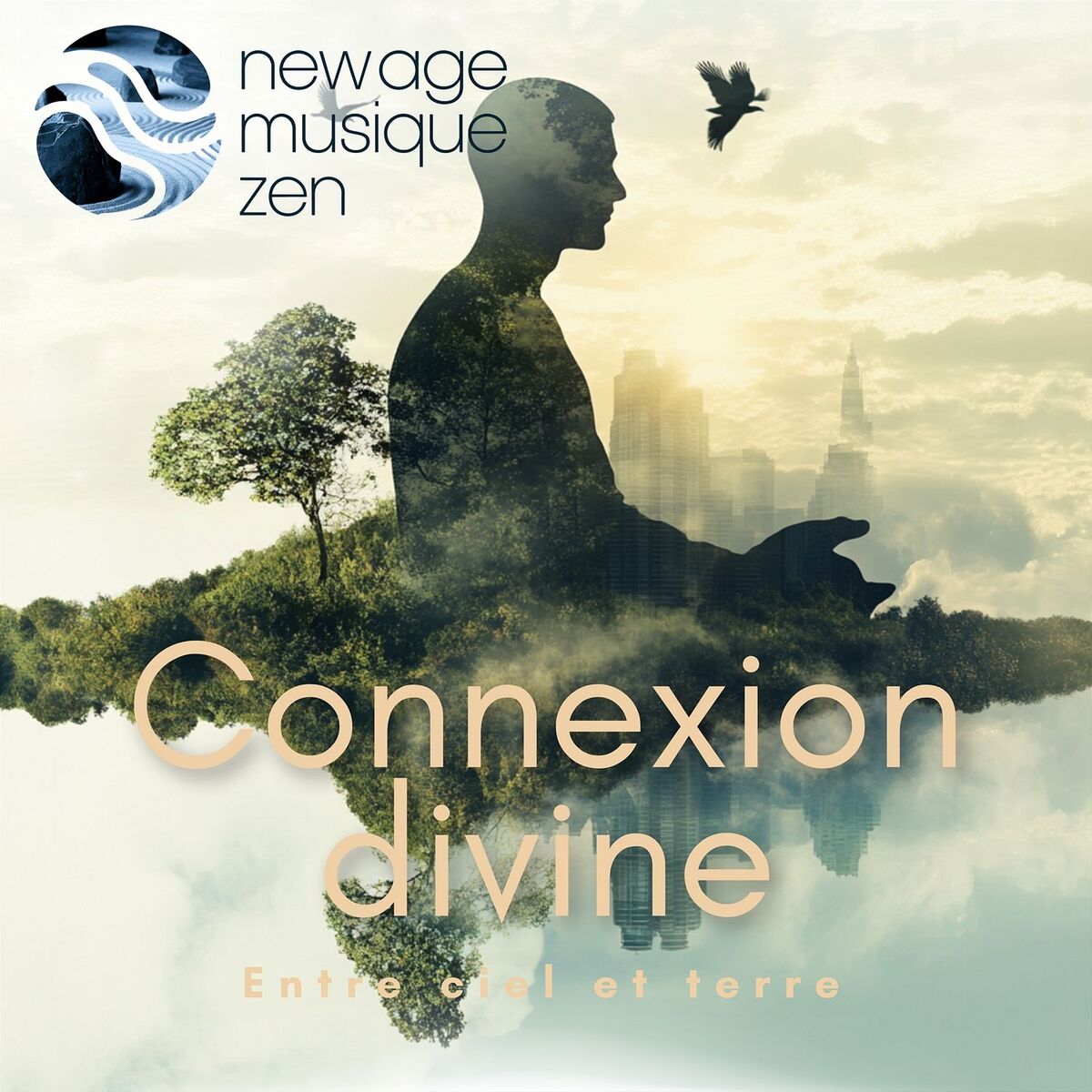 Album cover of Connexion divine: Entre ciel et terre