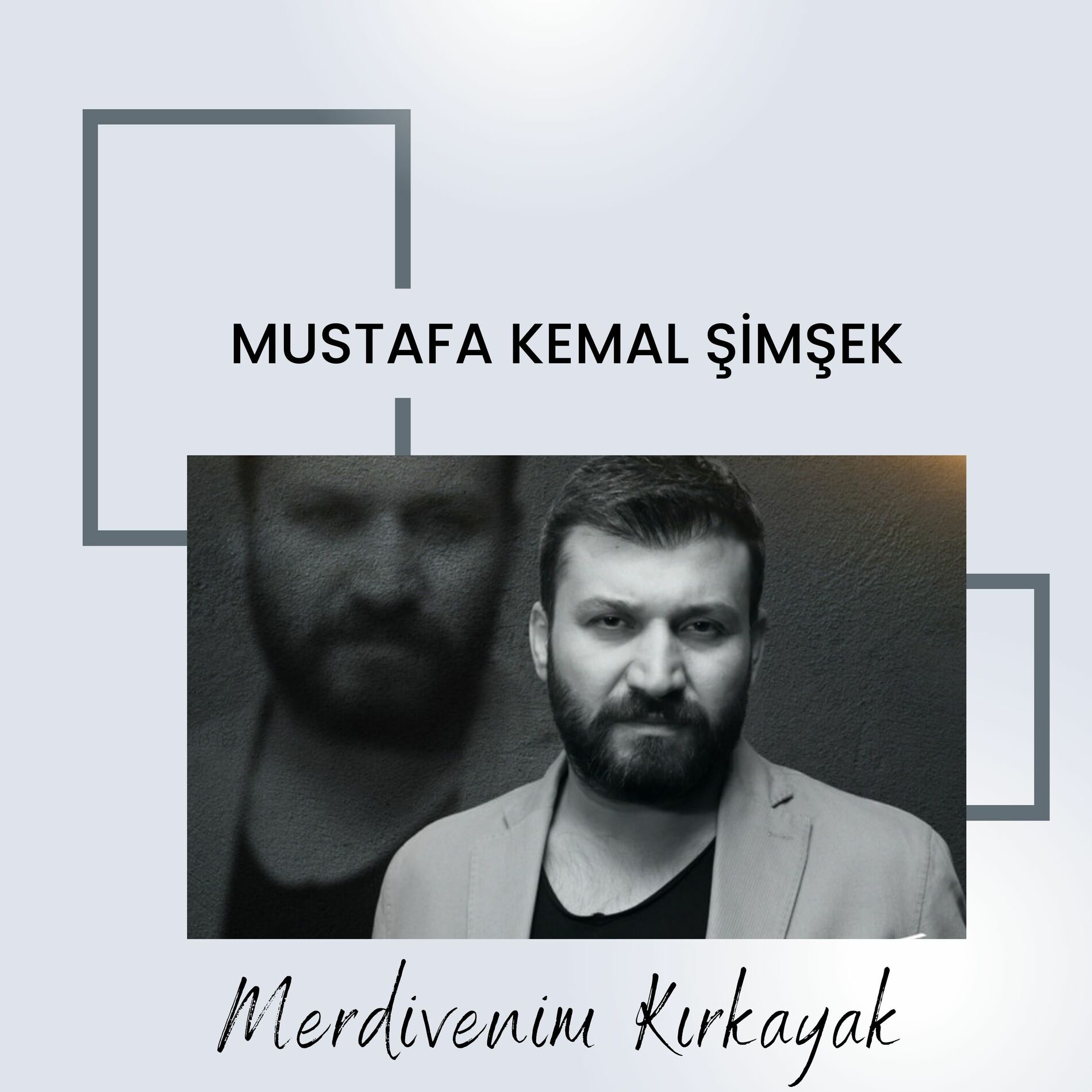 Album cover of Merdivenim Kırkayak