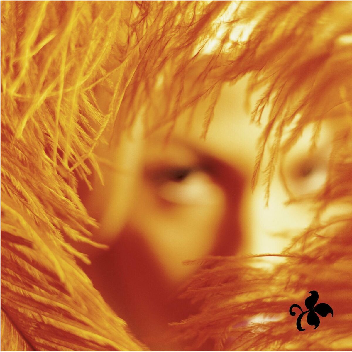 Album cover of Dumb Love