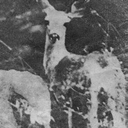 Cover of All's Lost