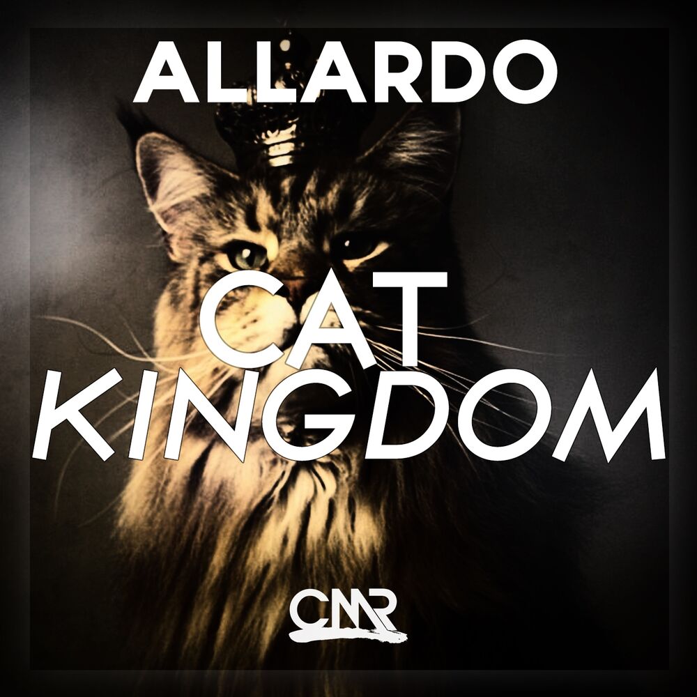 Picture of Cat Kingdom