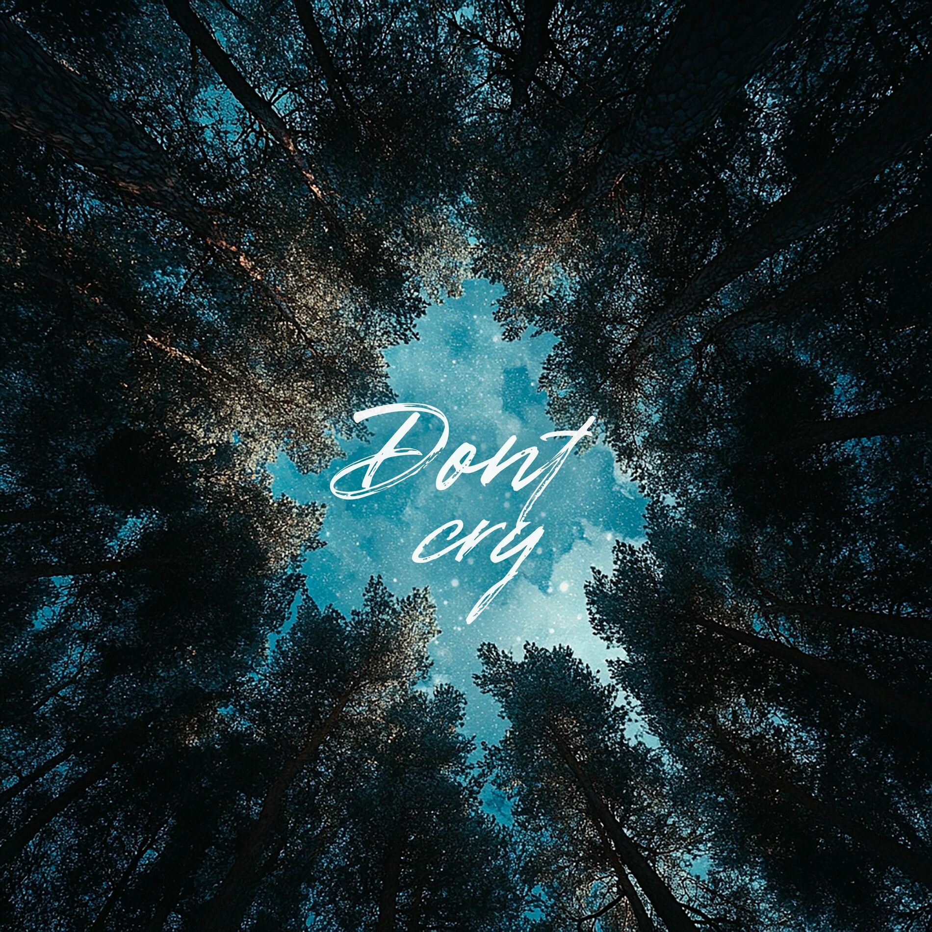 Album cover of Don't Cry