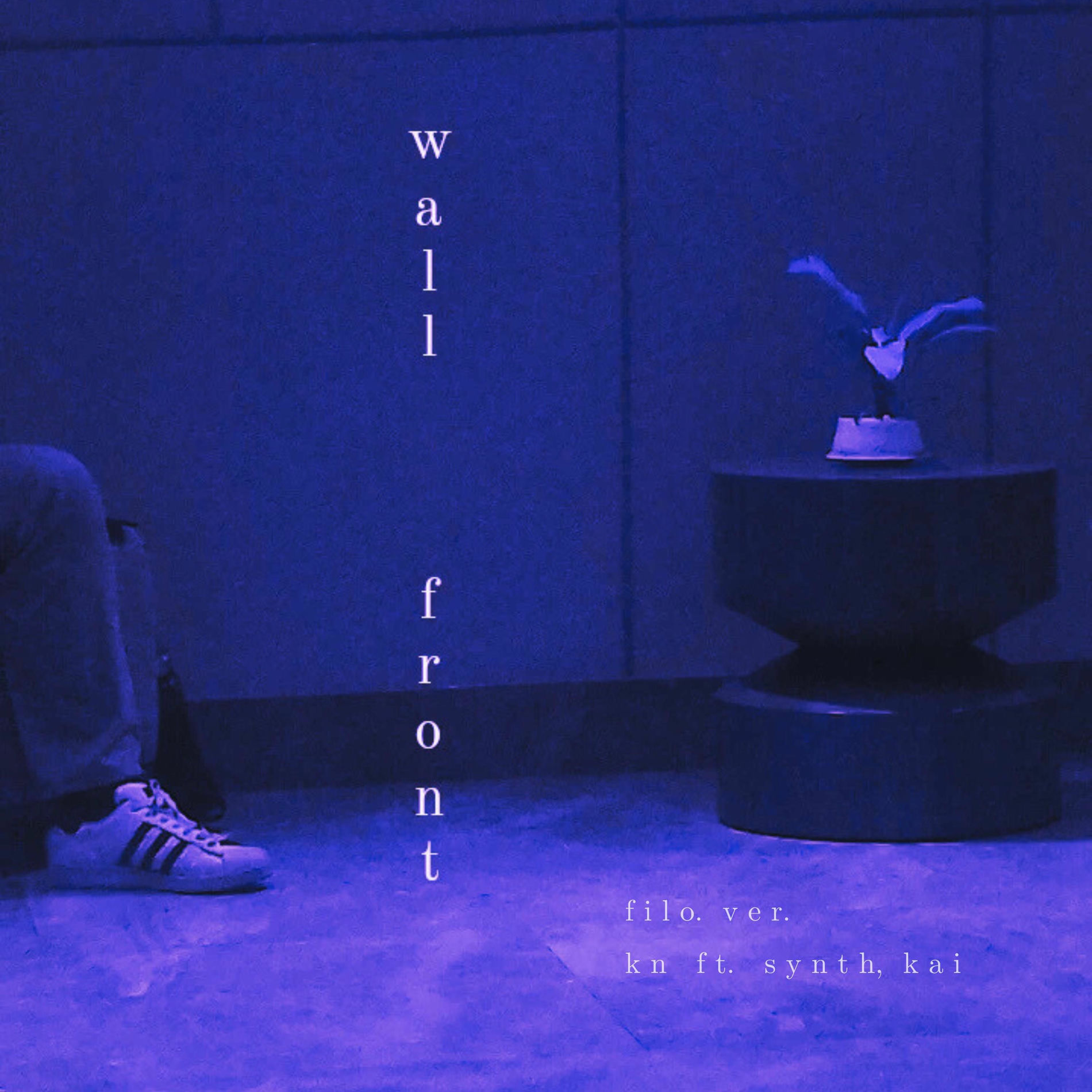 Album cover of Wall front (feat. Synth & Kai) [filo. ver.]