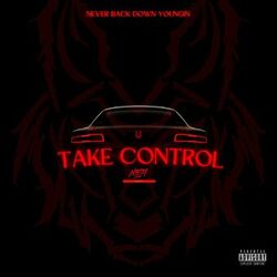 Cover of Take Control