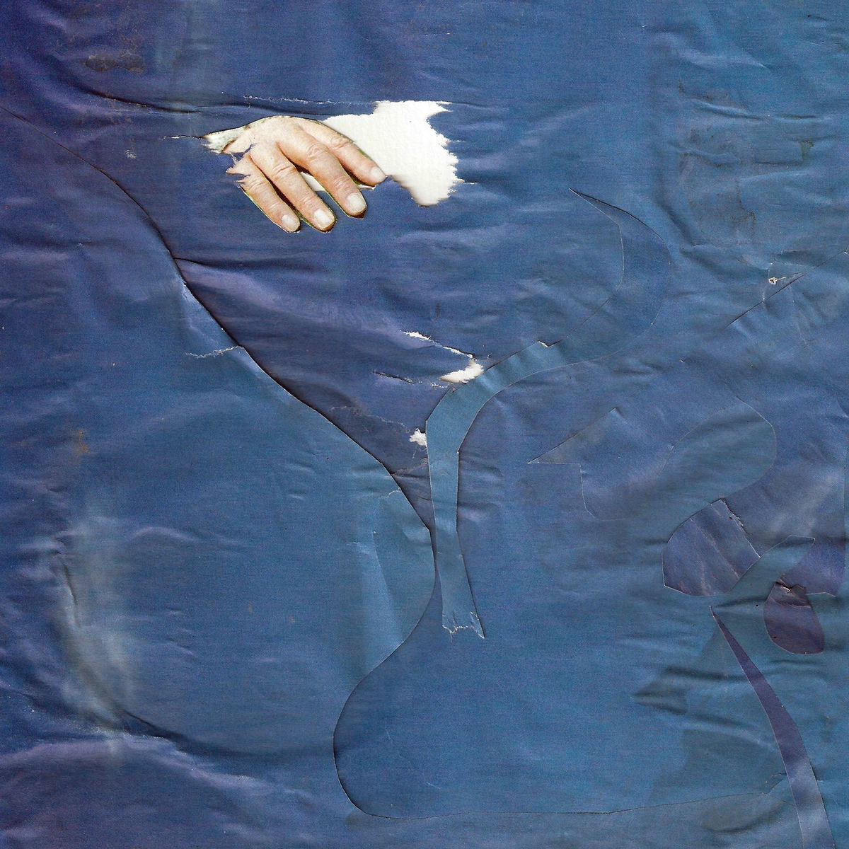 Album cover of Pluralistic Reflex