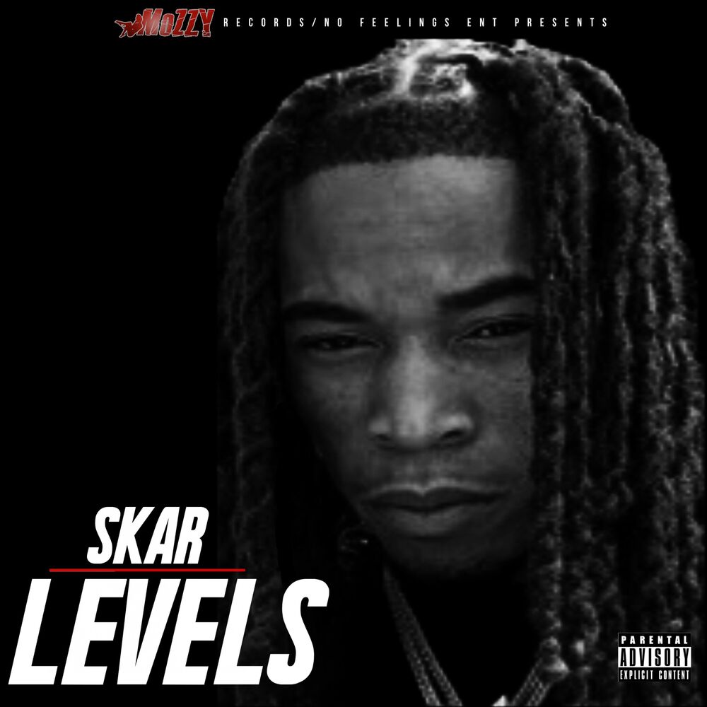 Picture of Levels