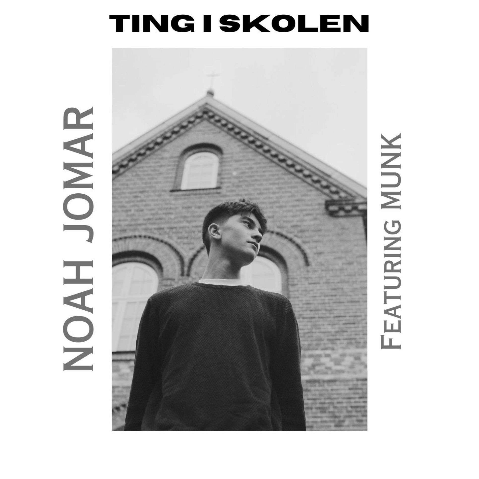 Album cover of Ting i Skolen (feat. Munk)