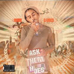 Cover of Ask Dem Hoes